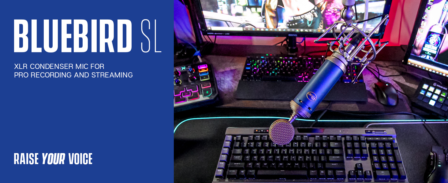 Amazon.com: Blue Microphone Bluebird SL XLRCardioid Condenser